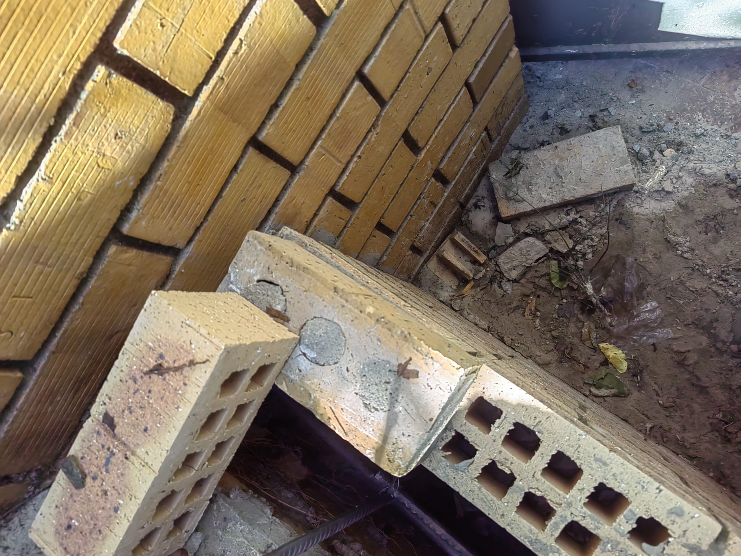 img 20241030 090415