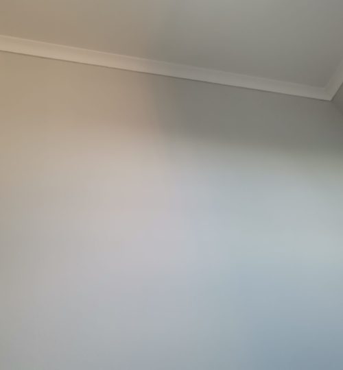 Projects img 20231218 192649